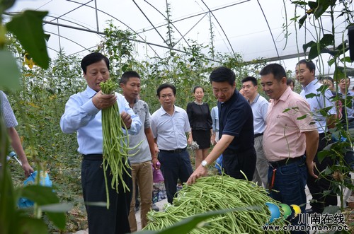 泸州市委副书记曹建国带队到华阳街道西岸村调研(图1) 泸州市委副书记曹建国带队到华阳街道西岸村调研(图1)