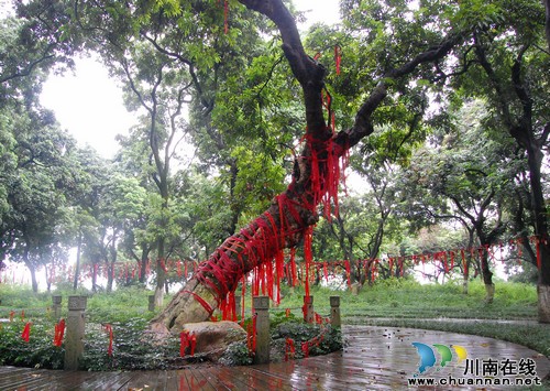 张坝景区将启动"秋韵张坝·风光无限"摄影大赛(图1)