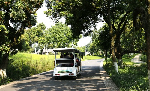 首届张坝•渔子溪国际社区桂圆旅游文化节即将揭幕(图2) 首届张坝•渔子溪国际社区桂圆旅游文化节即将揭幕(图2)
