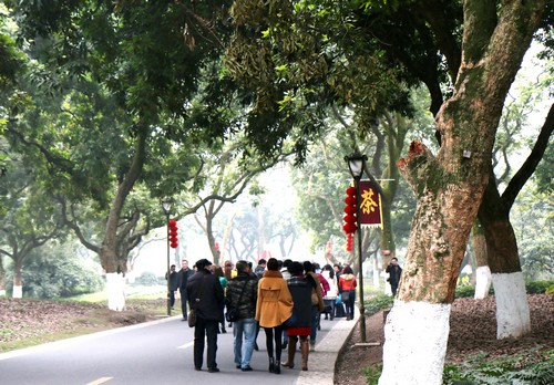 首届张坝•渔子溪国际社区桂圆旅游文化节即将揭幕(图6) 首届张坝•渔子溪国际社区桂圆旅游文化节即将揭幕(图6)