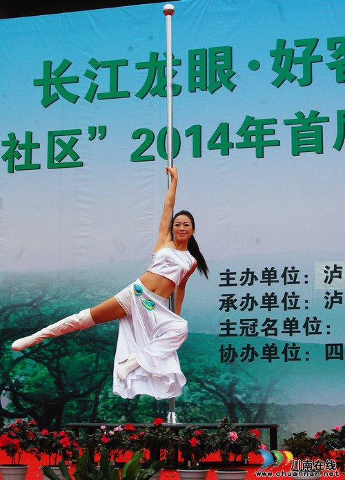 泸州:2014年首届中国·张坝桂圆文化节启动(图5) 泸州:2014年首届中国·张坝桂圆文化节启动(图5)