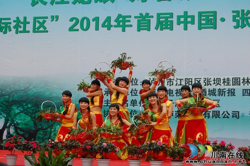 泸州:2014年首届中国·张坝桂圆文化节启动(图4) 泸州:2014年首届中国·张坝桂圆文化节启动(图4)