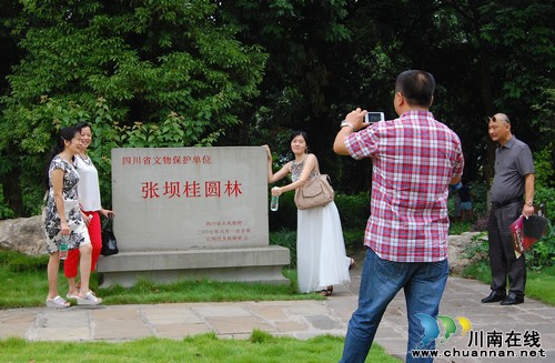 泸州:2014年首届中国·张坝桂圆文化节启动(图7) 泸州:2014年首届中国·张坝桂圆文化节启动(图7)