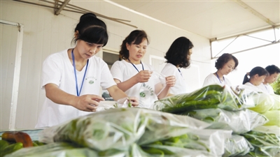 绿色蔬菜宅配送 采摘至送到市民手中只需4个小时(图1) 绿色蔬菜宅配送 采摘至送到市民手中只需4个小时(图1)