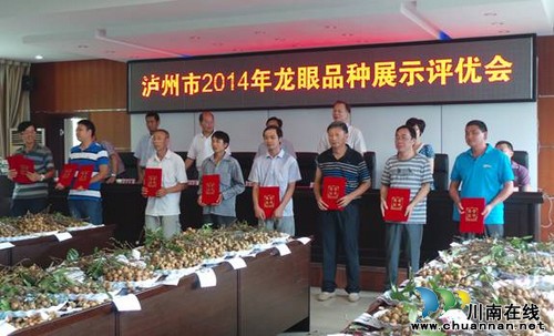 泸州市2014年龙眼品种展示评优会 泸县夺冠(图1) 泸州市2014年龙眼品种展示评优会 泸县夺冠(图1)