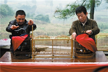 泸州叙永:第三届彝族火把节燃情石厢子(图)(图3) 泸州叙永:第三届彝族火把节燃情石厢子(图)(图3)
