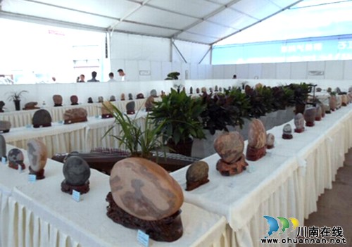 泸州:长江奇石博览会奇石成交额达800余万元(图2) 泸州:长江奇石博览会奇石成交额达800余万元(图2)