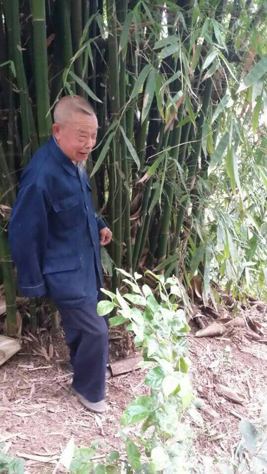 泸州周边古冢蒙尘:原来是深埋民间至孝传奇"安安送米"(图26) 泸州周边古冢蒙尘:原来是深埋民间至孝传奇"安安送米"(图26)