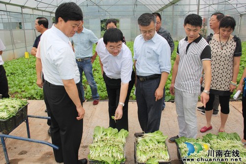 省农委参观指导西岸村现代农业发展(图2) 省农委参观指导西岸村现代农业发展(图2)