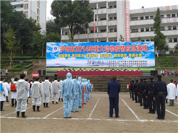 泸州举行重大动物疫情应急演练 现场近似实战(图1) 泸州举行重大动物疫情应急演练 现场近似实战(图1)