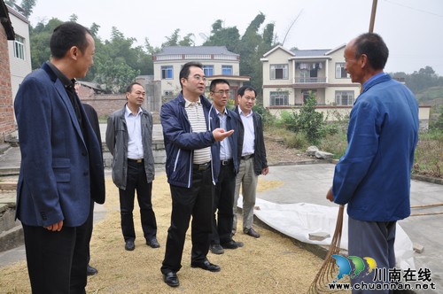 省农业厅调研泸县晚秋生产(图1) 省农业厅调研泸县晚秋生产(图1)