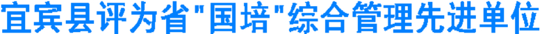 宜宾县评为省“国培”综合管理先进单位(图1) 宜宾县评为省“国培”综合管理先进单位(图1)