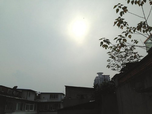 未来三天川南气温回暖 暂跟秋裤说拜拜(图2) 未来三天川南气温回暖 暂跟秋裤说拜拜(图2)