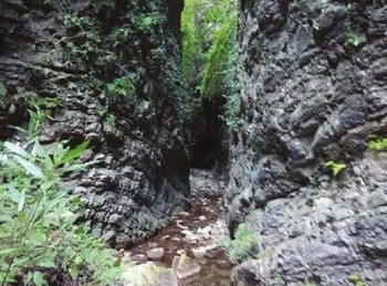 泸州古蔺现3公里长地缝&nbsp;藏深山、长奇花异草