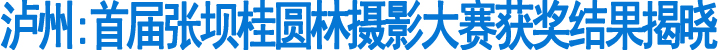 首届张坝桂圆林摄影大赛获奖结果揭晓(图1)