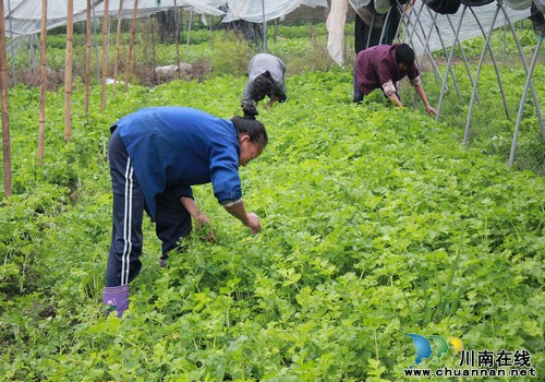 长兴镇:城市特色后勤保障基地加快形成(图1) 长兴镇:城市特色后勤保障基地加快形成(图1)