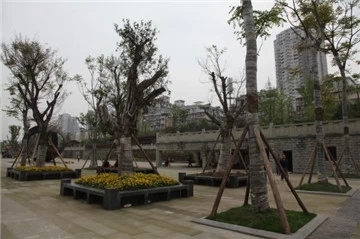 泸州：间断降雨将持续到周六&nbsp;出门记得带伞哦(图3)