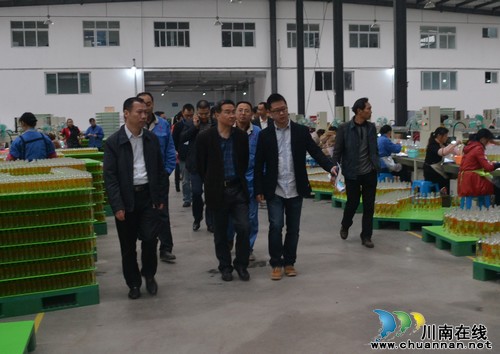 叙永县委书记王波率队调研园区重点项目建设(图1)