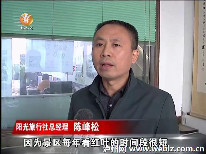 入冬周边游&nbsp;泸州游客热衷赏红叶(图4)