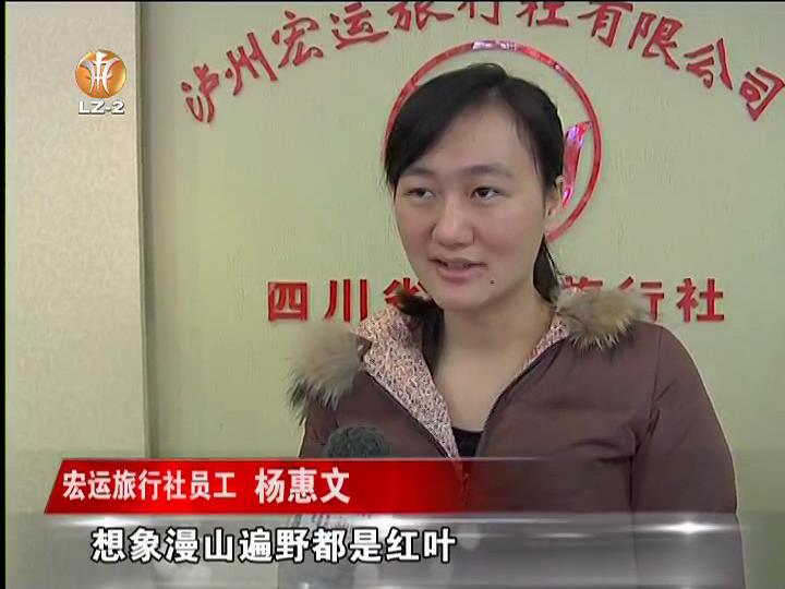 入冬周边游&nbsp;泸州游客热衷赏红叶(图2)