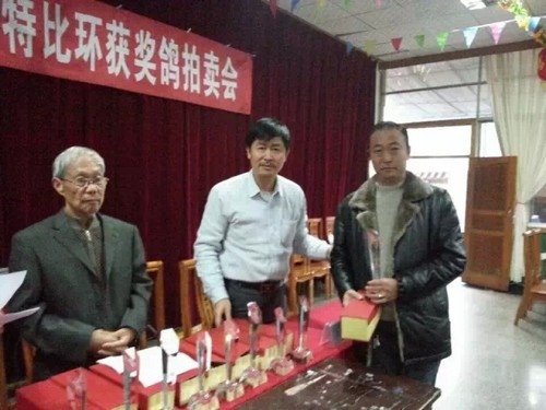 泸州举行川南赛鸽联赛获奖鸽拍卖:最高价2万元(图5) 泸州举行川南赛鸽联赛获奖鸽拍卖:最高价2万元(图5)