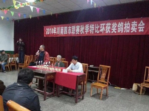 泸州举行川南赛鸽联赛获奖鸽拍卖:最高价2万元(图1) 泸州举行川南赛鸽联赛获奖鸽拍卖:最高价2万元(图1)