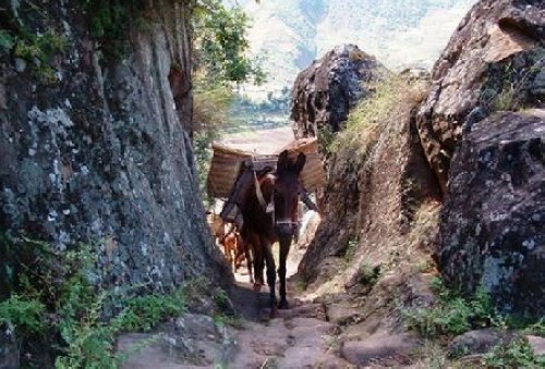 川南文史曾经叙永&nbsp;盐马古道山歌飘（图）(图12)