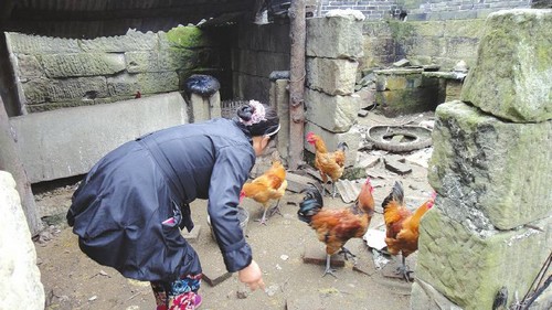 与命运抗争 资中"公民家园"走出首个本科生(图1) 与命运抗争 资中"公民家园"走出首个本科生(图1)