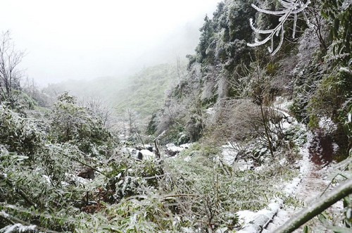川南迎今冬第一场雪&nbsp;古蔺山区积雪最厚10厘米(图1)