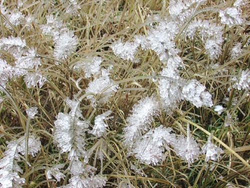 川南迎今冬第一场雪&nbsp;古蔺山区积雪最厚10厘米(图4)