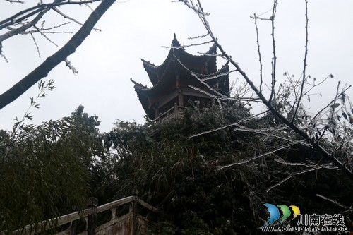 泸州叙永:丹山降瑞雪 红果报祥瑞(图)(图1) 泸州叙永:丹山降瑞雪 红果报祥瑞(图)(图1)