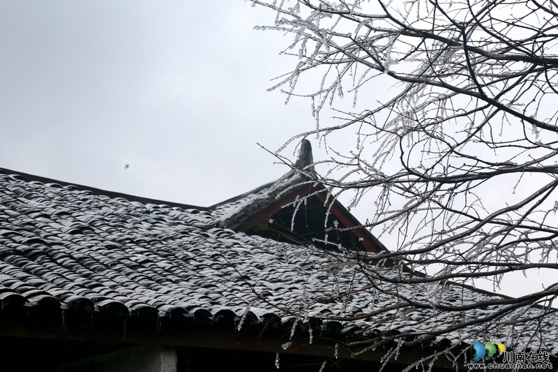 泸州叙永丹山紫霞峰迎来今年第一场冬雪(图2) 泸州叙永丹山紫霞峰迎来今年第一场冬雪(图2)