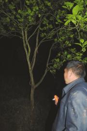 疑被邻居骂是小偷&nbsp;泸州一13岁男孩自缢(图1)