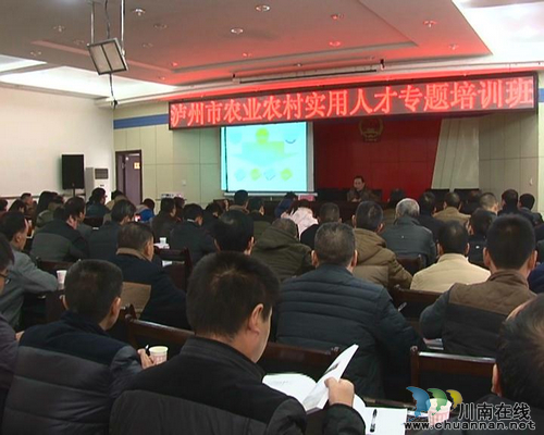 泸州市举办农业农村实用人才专题培训班(图1) 泸州市举办农业农村实用人才专题培训班(图1)