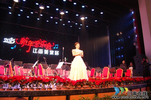 李谷一完美献唱合江江语美家居新春音乐会(图4) 李谷一完美献唱合江江语美家居新春音乐会(图4)