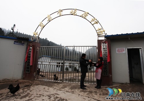 泸州:"金凤凰"变"烫手山芋" 优质土鸡销售遇瓶颈(图8) 泸州:"金凤凰"变"烫手山芋" 优质土鸡销售遇瓶颈(图8)
