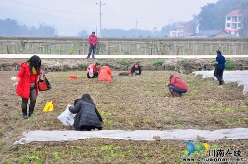 宜宾大观镇:飞马村蘑菇种植基地喜迎广大游客(图2) 宜宾大观镇:飞马村蘑菇种植基地喜迎广大游客(图2)