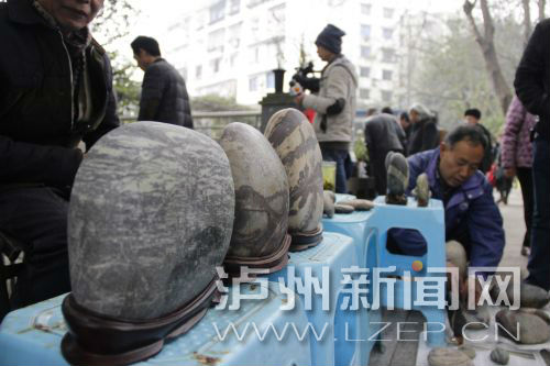 各地爱好者聚焦泸州 参加兰花奇石展示交流会(图4) 各地爱好者聚焦泸州 参加兰花奇石展示交流会(图4)