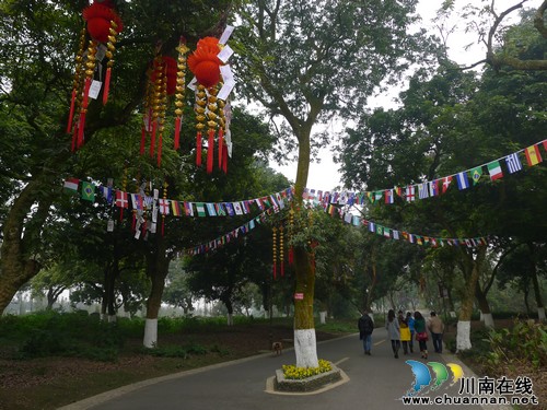 张坝景区张灯结彩&nbsp;喜迎2015年春节(图1)
