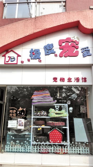 春节临近&nbsp;内江宠物寄养"升温""客栈"一笼难求(图2)