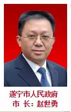 四川省长魏宏携21个市州长给各位网友拜年啦！(图10)