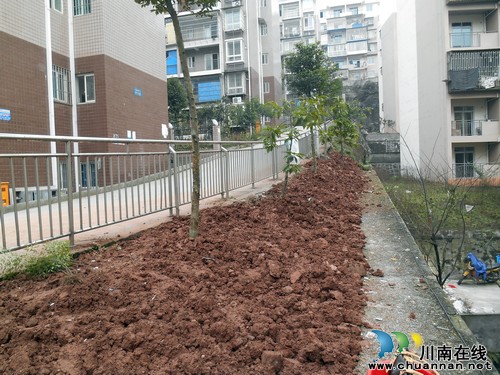 华阳街道：办实事解民忧，居民过了个“干净年”(图2)