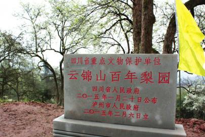 泸州泸县云锦镇第六届梨花节昨日开幕(图2) 泸州泸县云锦镇第六届梨花节昨日开幕(图2)