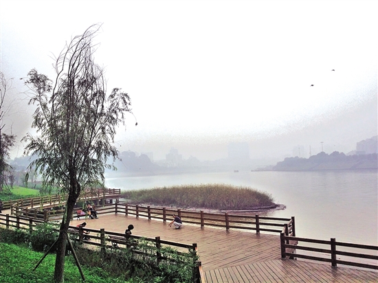 生态工程像海绵一样 让内江城留住更多的雨水(图1) 生态工程像海绵一样 让内江城留住更多的雨水(图1)
