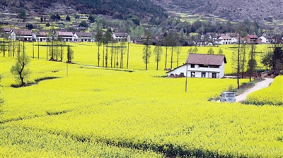 宜宾赏花地图 带你遇见最美的春天(图)(图2) 宜宾赏花地图 带你遇见最美的春天(图)(图2)