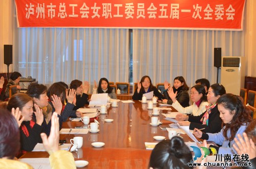 泸州市总工会女职工委员会成功换届(图1) 泸州市总工会女职工委员会成功换届(图1)