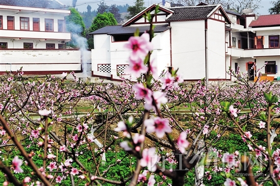 旅游阳春三月&nbsp;八大线路，带你畅游内江花海(图5)