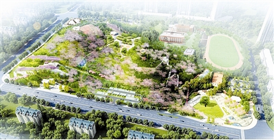 宜宾：南岸西区&nbsp;三大公园建设紧锣密鼓(图3)