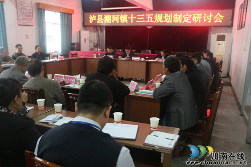 潮河镇：召开“十三五”规划编制研讨会(图1)