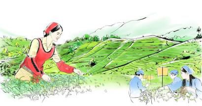 递上茶叶名片 宜宾叩开“一带一路”大门(图1) 递上茶叶名片 宜宾叩开“一带一路”大门(图1)